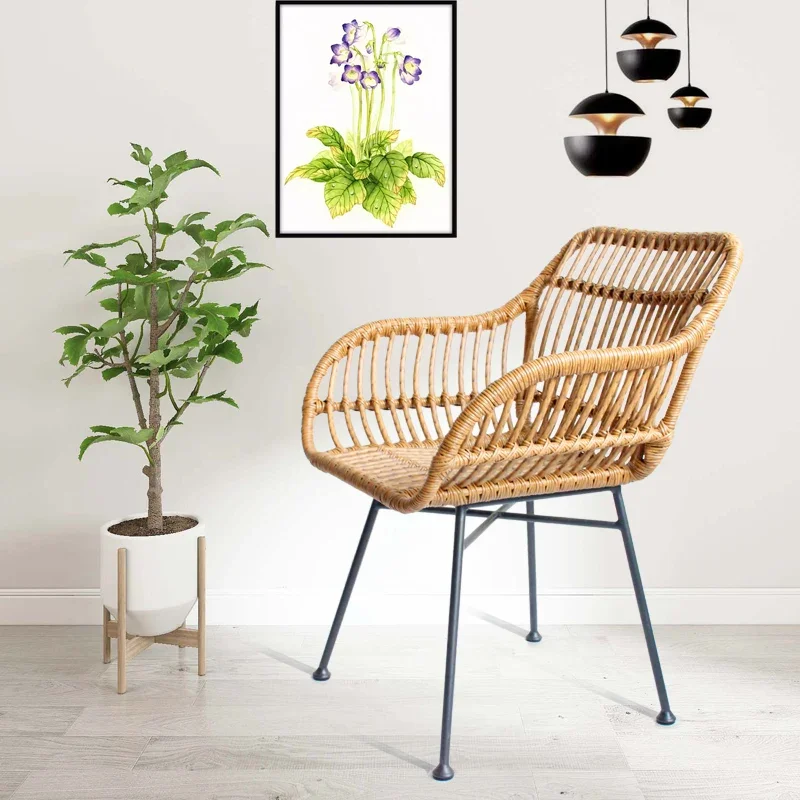 เก้าอี้ทานอาหารสไตล์นอร์ดิกสำห - Outdoor Furniture Metal Chairs บทวิจารณ์และราคา